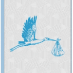 Haikarakortti - sininen - 17;30