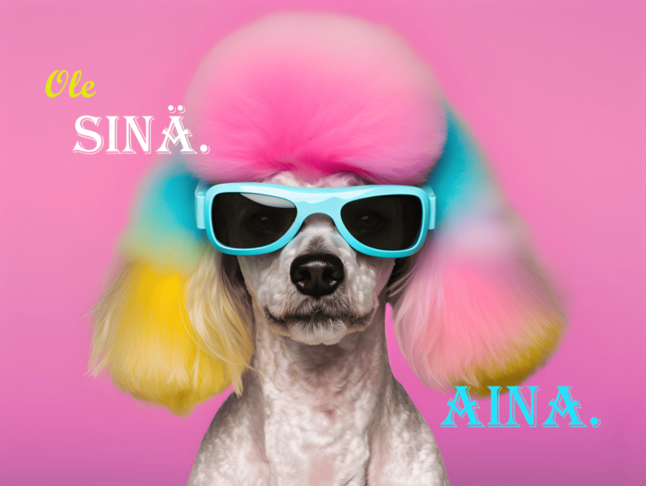 Puudeli - postikortti