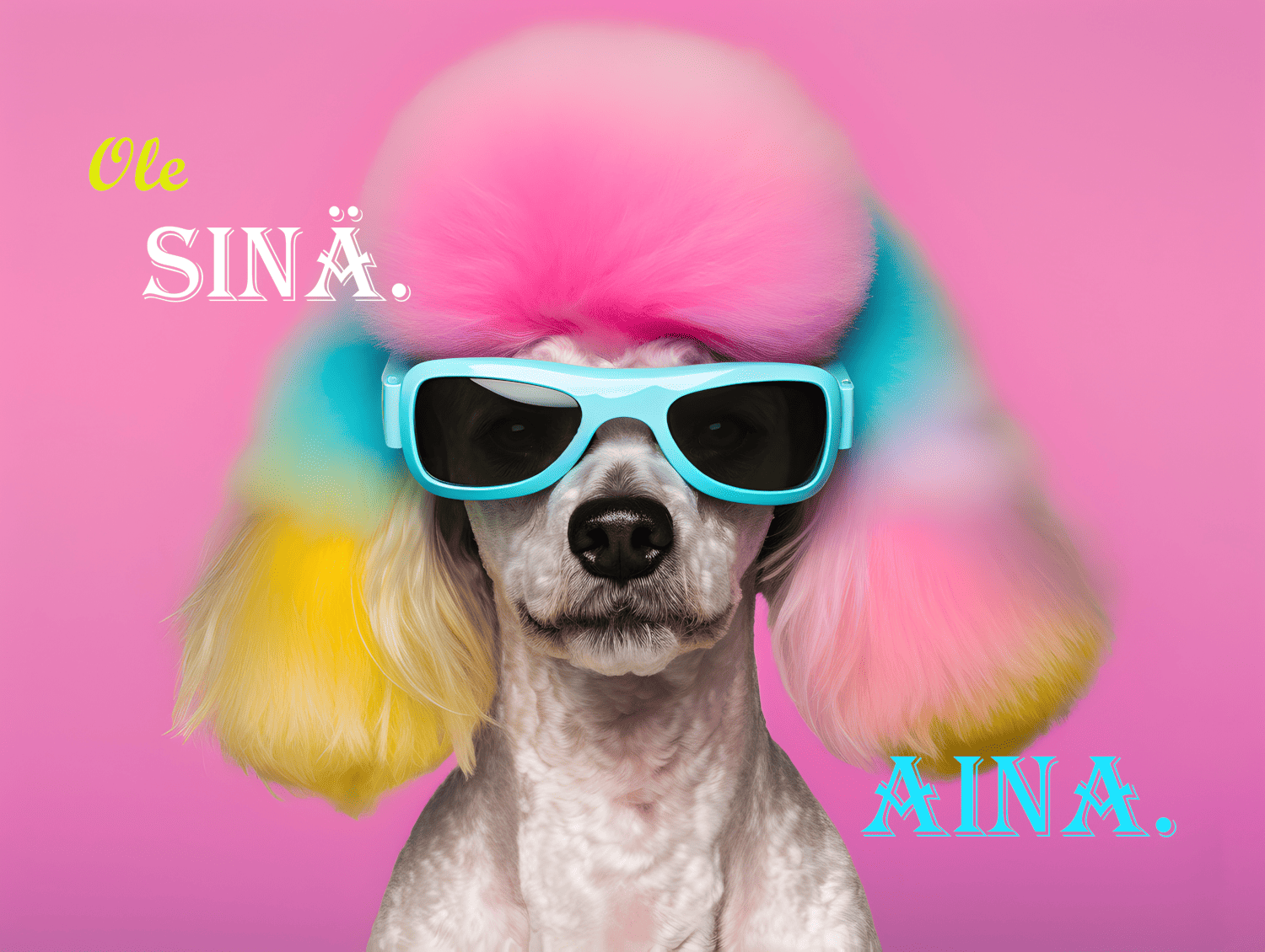 Puudeli - postikortti