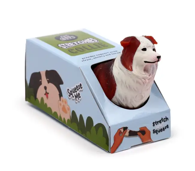 Collie stressilelu - ruskeavalkoinen